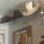 Customer photo 3 of 3