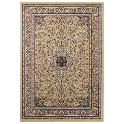 Excellent Oriental Hand Woven Area Rug