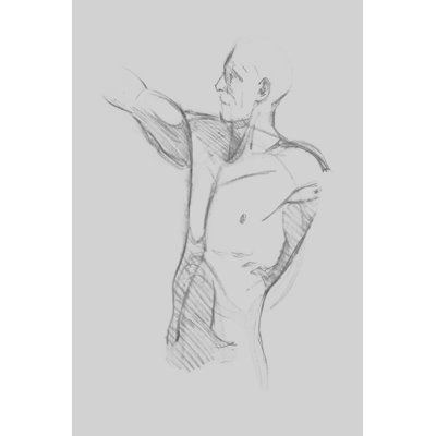 Male Torso Sketch IV by Jacob Green - Drawing Print