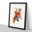 Fiery Parakeets by Elizabeth Gould - Picture Frame Art Print-55609402-55609406