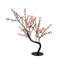 Bonsaïs illuminés et branches-22104822