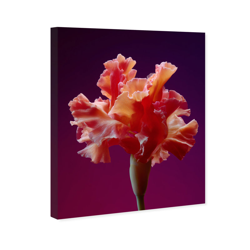Taffeta Twilight I Print by Oliver Gal, 20"H x 24"W, Gallery Wrapped