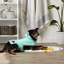 Couverture en polyester AQUA brodé PAW-57762340-57762341