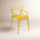 Chaise avec accoudoirs Masters