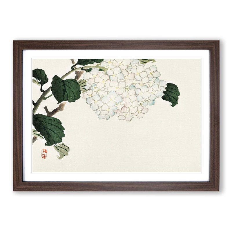 Hydrangea by Kono Bairei - Picture Frame Painting Print, 40cm H x 60cm W x 2cm D, Walnut