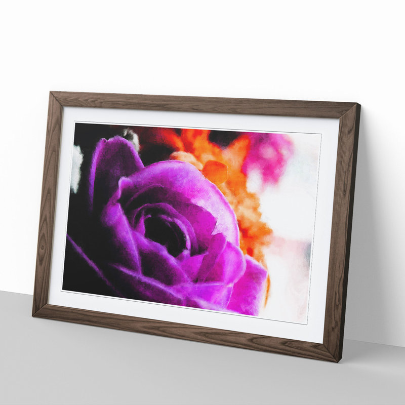 Purple Rose Flower Vol.5 - Framed Print, 27cm H x 36cm W x 2cm D, Walnut Framed