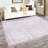 Mcclamma Chenille Oriental Indoor Rug-825778406
