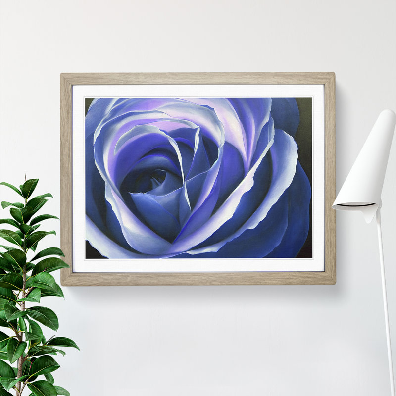 Pristine Rose Flower - Single Picture Frame Print, 25cm H x 34cm W x 2cm D, Oak Framed