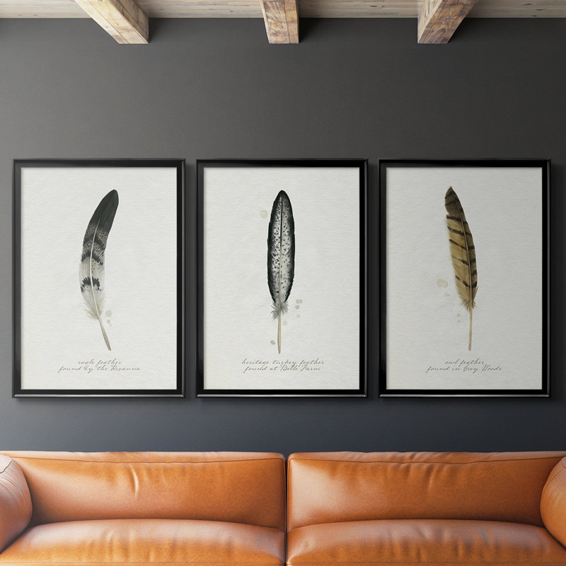 Found Feather I - Toile tendue avec châssis sur mesure - 3 pièces, Noir, noir, noir, noir, H 30 po x l 63 po