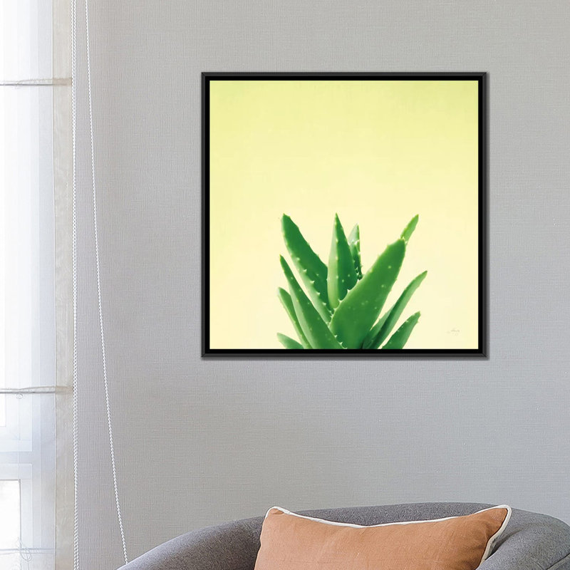 « succulent simplicité v », reproduction d’impression sur toile, H 18 po x l 18 po x P 1,5 po, Toile avec cadre noir