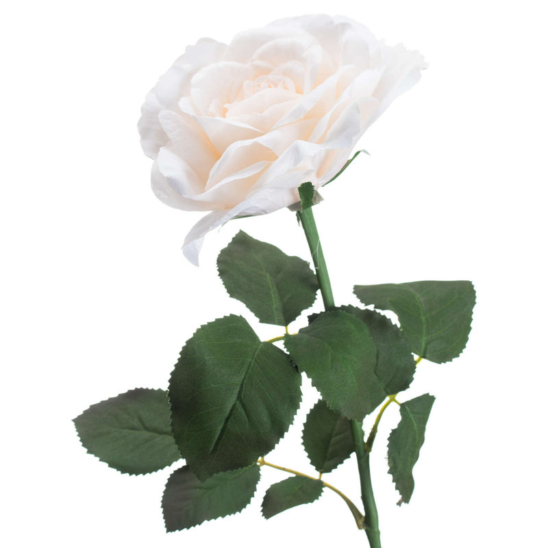 Rose Arrangement, White, 75cm H x 10cm W x 5cm D