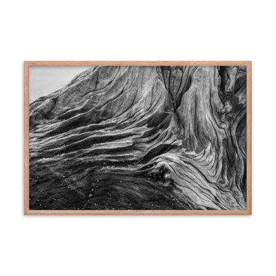 NAT-2206-framed Dead Tree Boneyard Beach Florida Texture Close-up Black And White Rustic Nature Photo Framed Wall Art Print Framed On Paper -  Ivy Bronx, 4BE447A04579495C9040B32B08468150