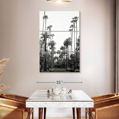 Masam Black California - Los Angeles Palm Trees