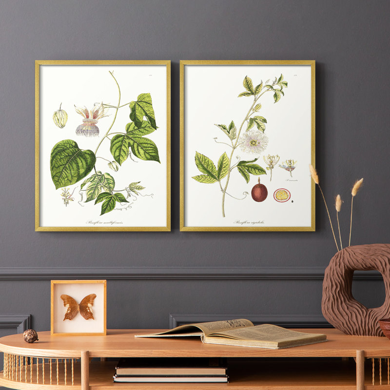 «Passion Flower Trio I», reproduction encadrée de qualité supérieure - prête à être accrochée - aucun clou requis - aucun clou requis