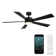 Wynd 5 - Blade Outdoor /Indoor Smart Ceiling Fan with Remote Control and LED Light Kit Included, Works With Alexa and iOS or Android App