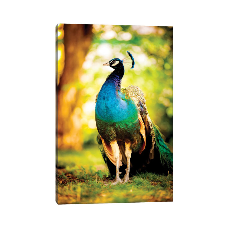 Peacock On The Sun by Nik Rave - Wrapped Canvas Gallery-Wrapped Canvas Giclée, 66.04 cm H x 45.72 cm W x 1.91 cm D