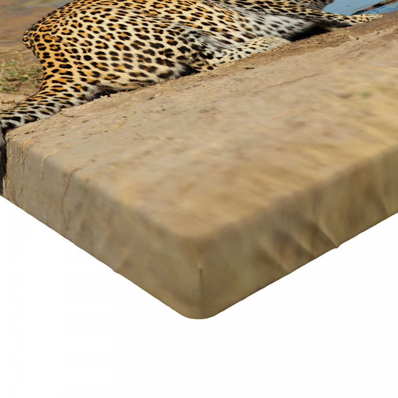 Drap-housse safari, Simple