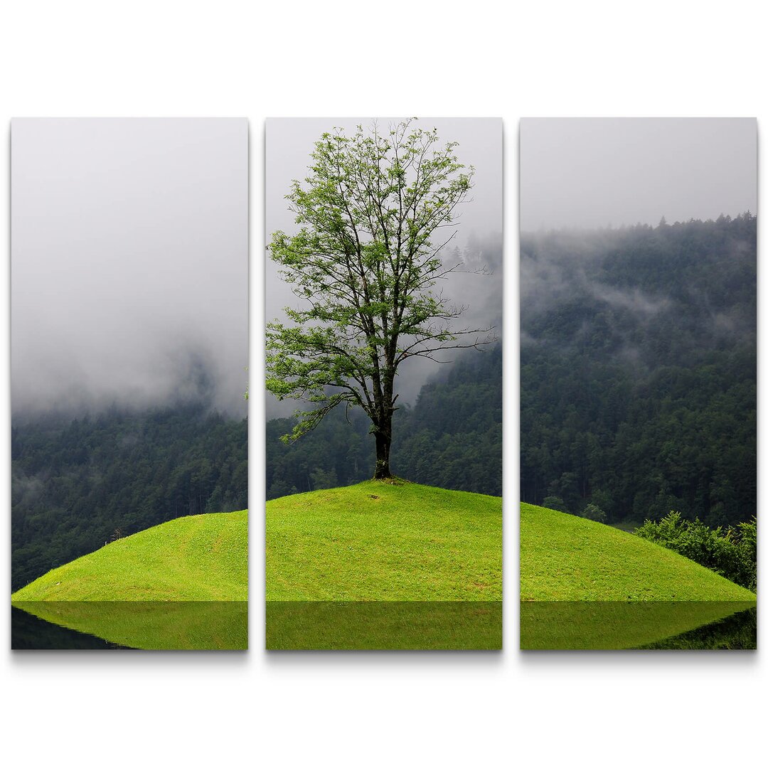 3-tlg. Leinwandbilder-Set Spiegelung Baum im Wasser