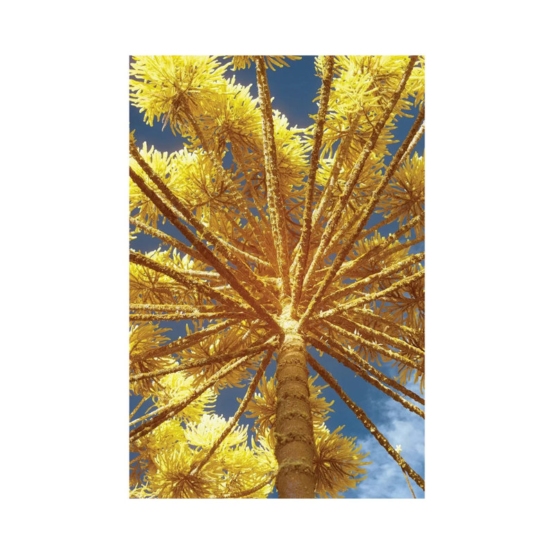 Up by Glauco Meneghelli - Wrapped Canvas Print, 101.6 cm H x 66.04 cm W x 1.91 cm D