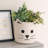 Red Barrel Studio Fabric Basket