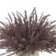 Faux Astilbe Plant in Fiberstone Vase