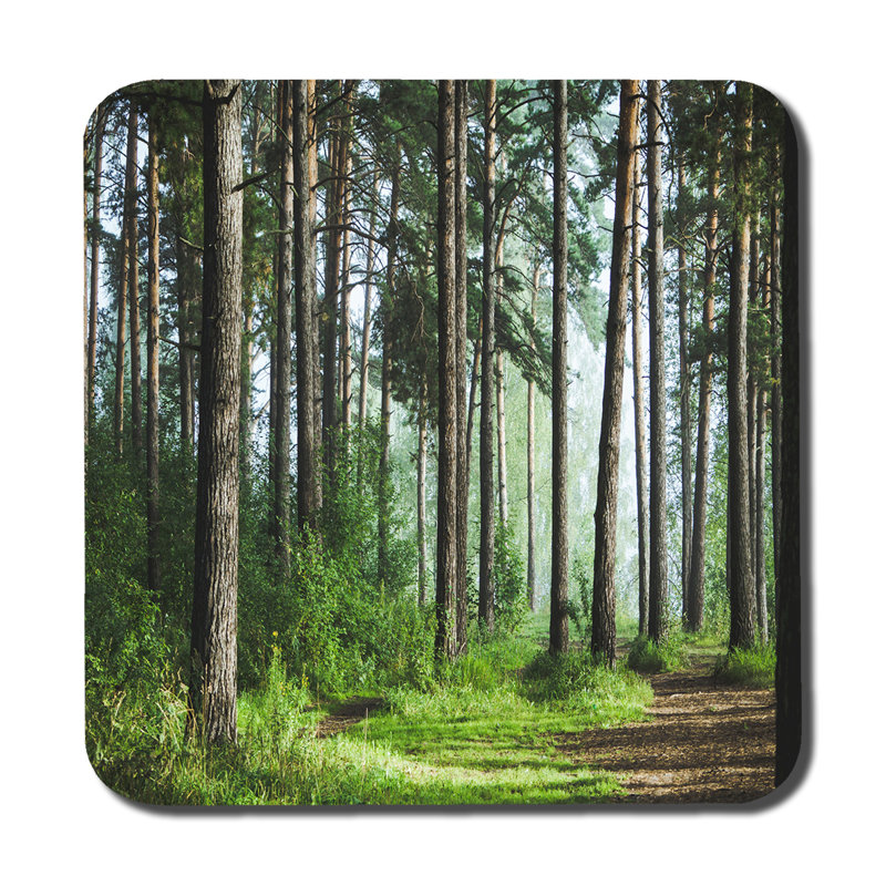 Dovber Square 6 Piece Coaster Set