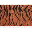 Hand Knotted Wool Area Rug