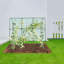 Treillis de jardin pour les plantes grimpantes