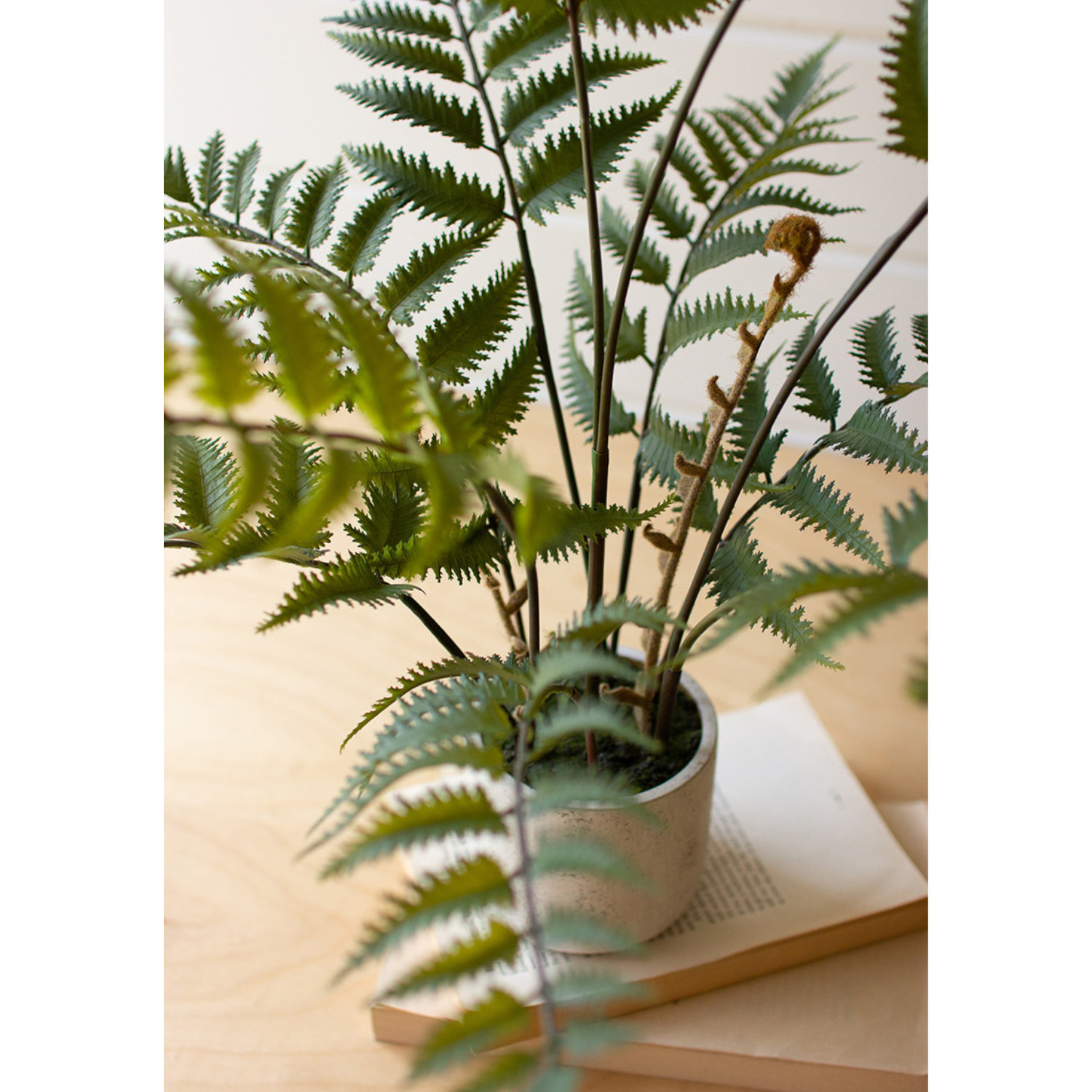 28'' Faux Fern Plant in Cement Pot