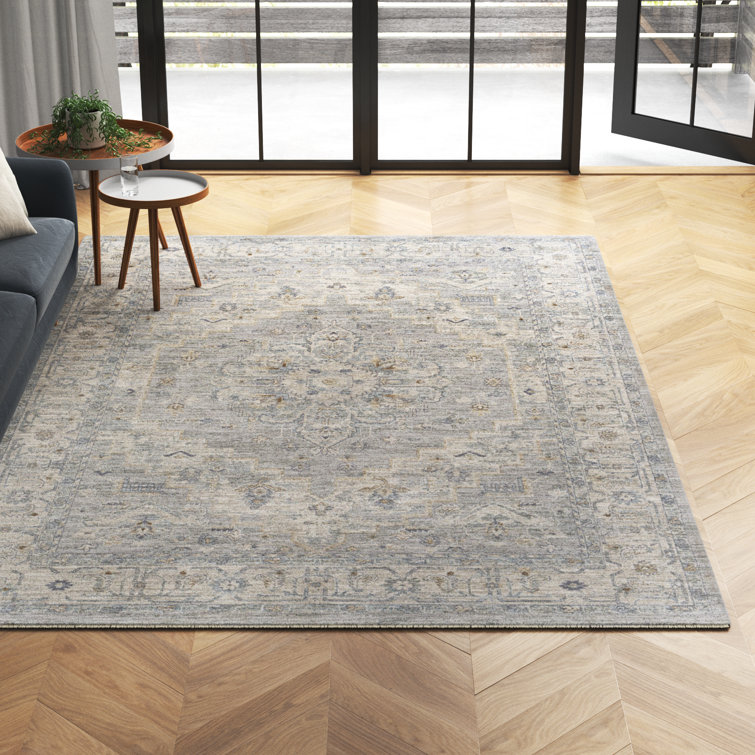 Vizcaino Oriental Indoor Rug