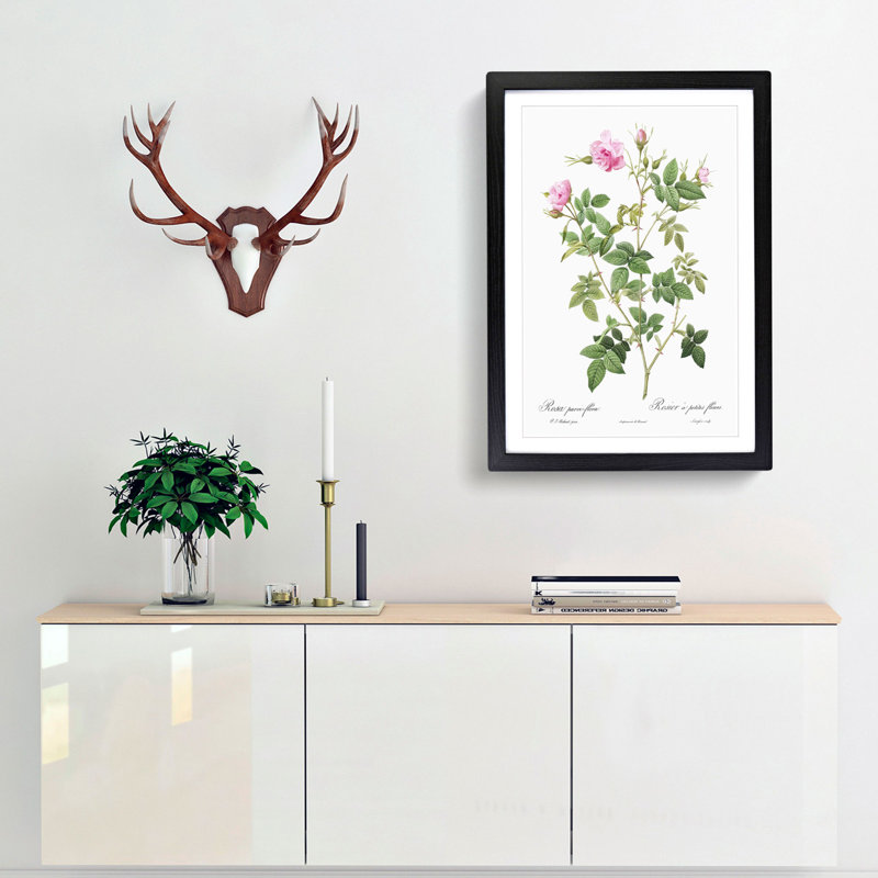 Wild Rose in Pink by Pierre-Joseph Redoute - Picture Frame Painting Print, 48cm H x 36cm W x 2cm D, Black Framed