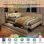 Upholstered Daybed-625624219-625624196