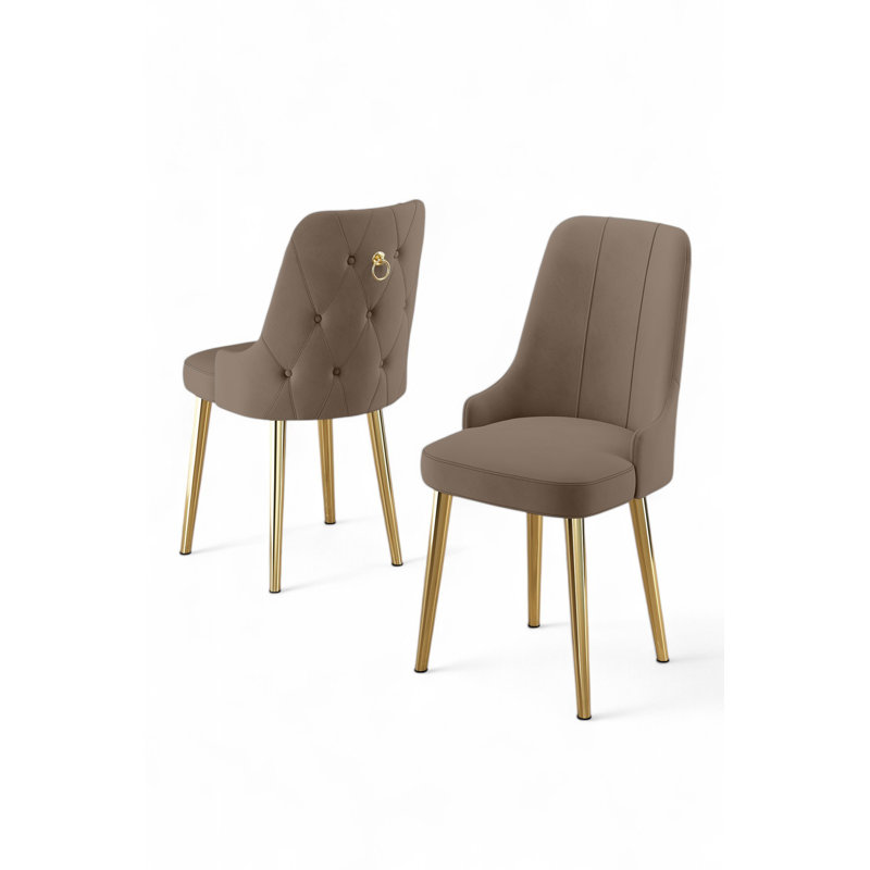 Ensemble de chaises élégantes (2 pièces), cappuccino et or, 18,1 po x 37,0 po x 18,1 po | Structure 100% métal, dossier en mousse 22 po et siège en mousse 28 po | Design moderne et glamour, parfait pour la salle à manger et les espaces de vie