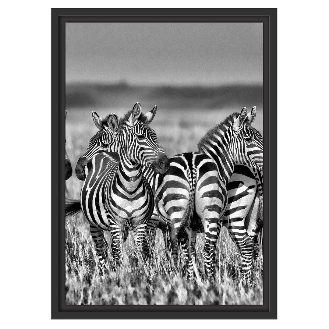 Gerahmtes Wandbild kleine Zebrahorde