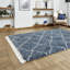 Pechler area rug Machine Woven Blue-142570607