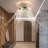 Ceiling Fan Light Flush Mount With Remote