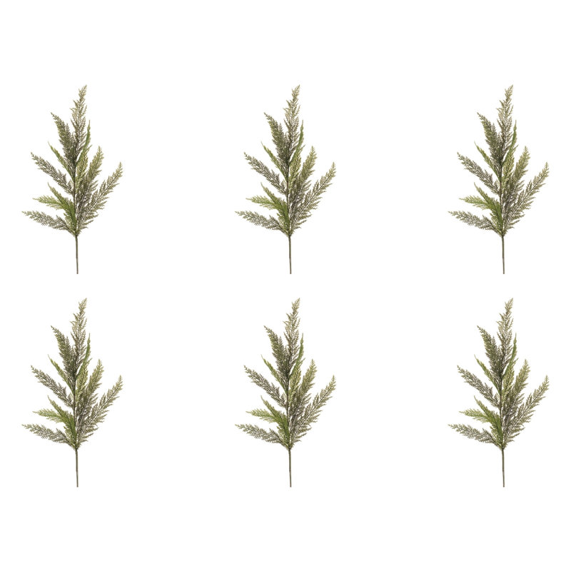 Jet de pin Evergreen (ensemble de 6)