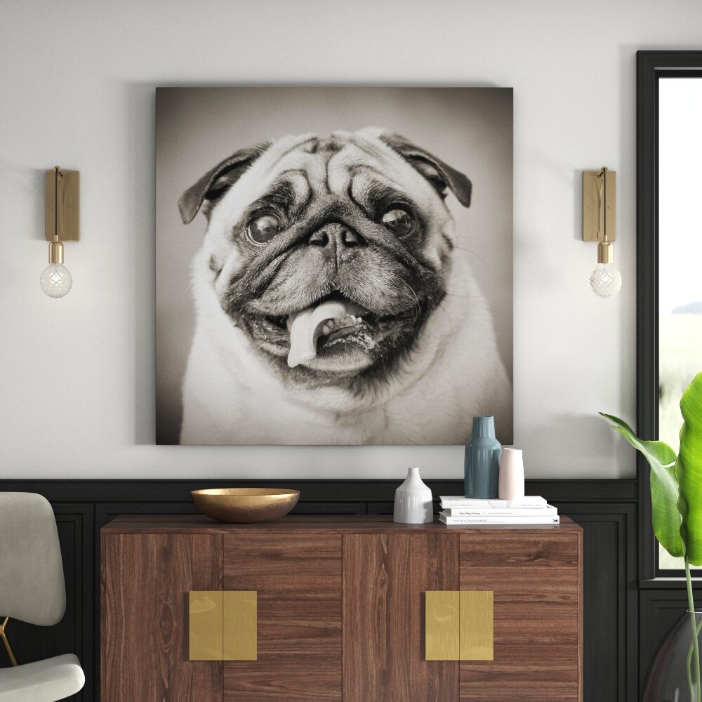 Leinwandbild Funny Pug