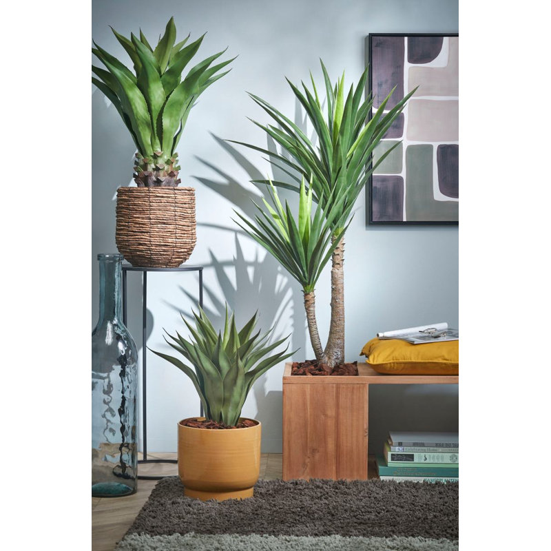 Alvia Ceramic Pot Planter