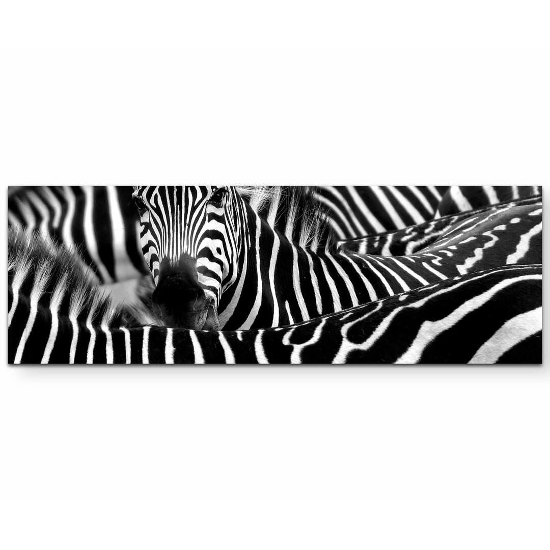 Leinwandbild Zebra in seiner Herde