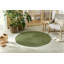  Machine Woven Green Indoor/Outdoor Rug-1096099517