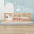 Twin Wooden Floor Platform Bed-377122072