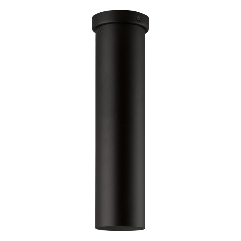 Plafonnier encastré cylindrique unique à 1 lumière Chaniah, H 16,73 po x l 3,94 po x P 3,94 po, Incandescent