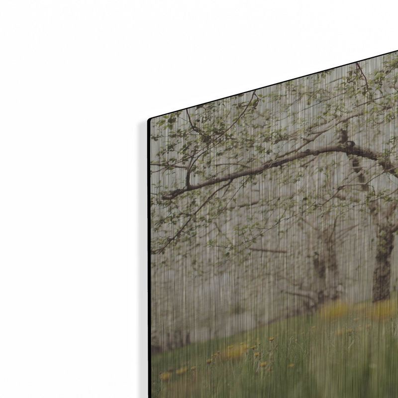 «Quiet Orchard» par Irene ThisCocki, H 16 po x l 24 po