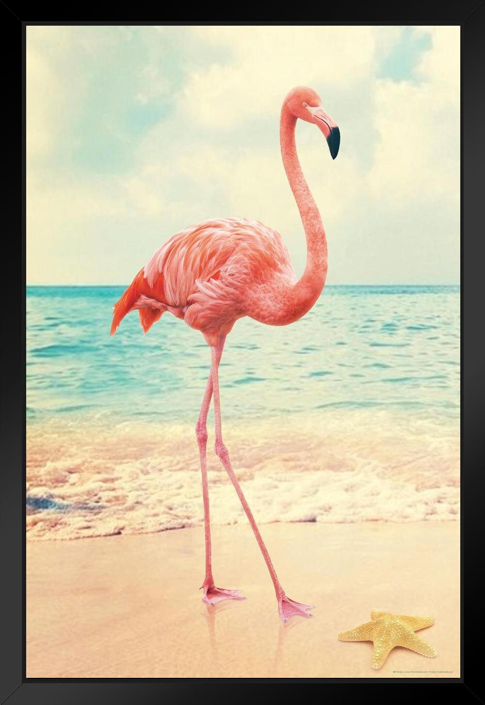 Bayou Breeze Flamingo On Beach With Starfish Flamingo Prints