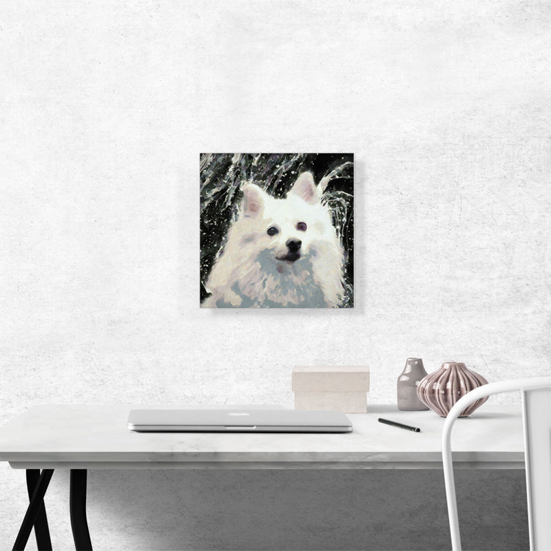 Reproduction d'art sur toile tendue American Eskimo, H 12 po x l 12 po x P 1,5 po