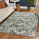 Mamane Transitional Floral Green Area Rug