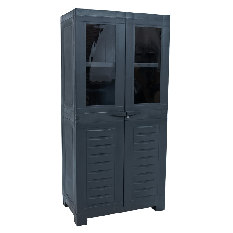 Storage Cabinet with 3 Adjustable Shelves and 2 Windows - Charcoal