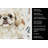 Cream Pekingese Coffee Bar Kitchen Towel-1168063345