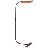 Lola Task Floor Lamp